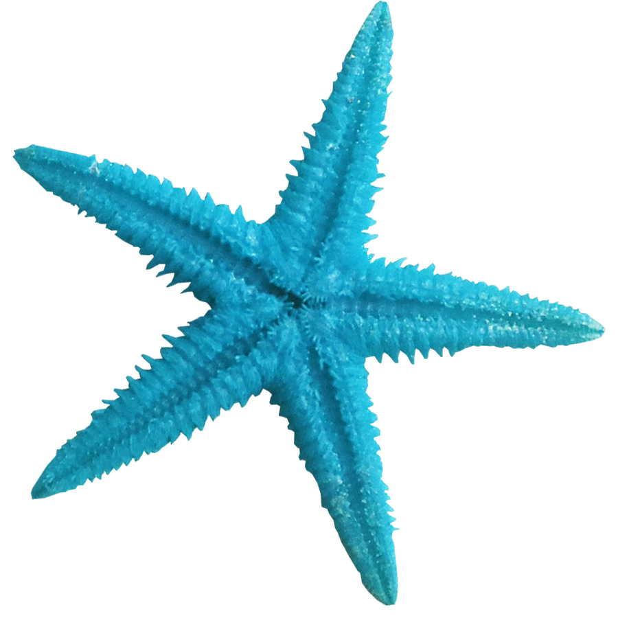 blue-starfish